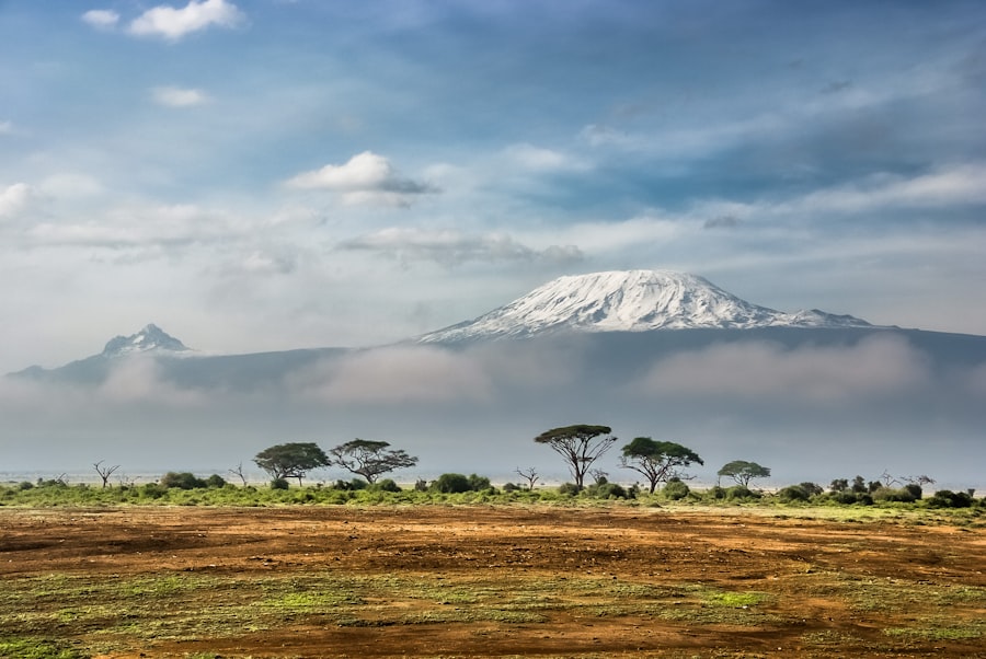 Corporate Retreats with a Safari Edge