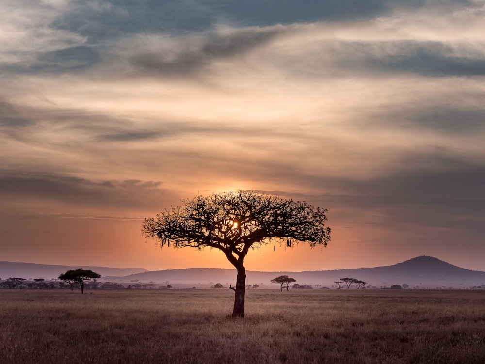 Real safari guide creating a memorable guest experience