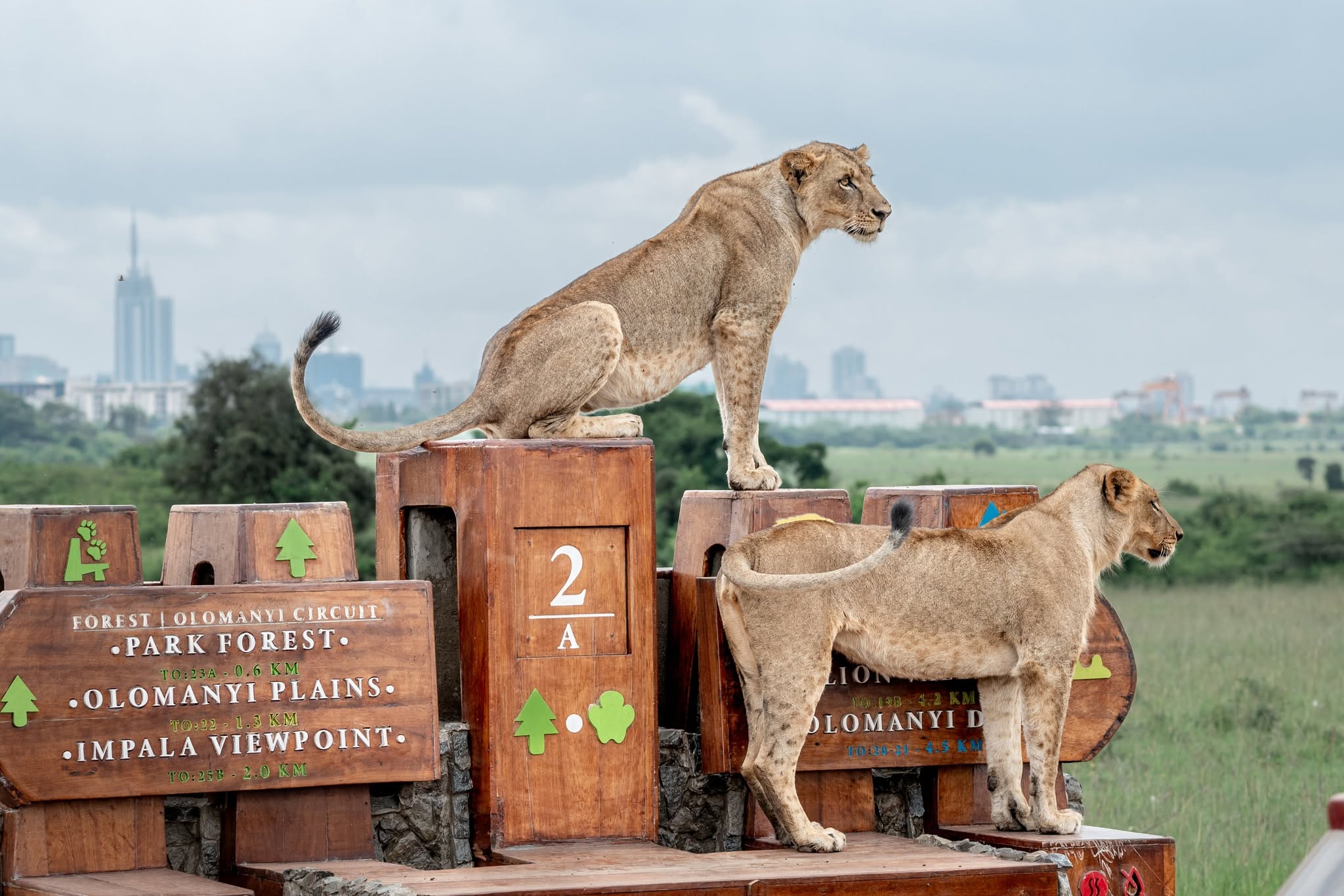 Nairobi National Park