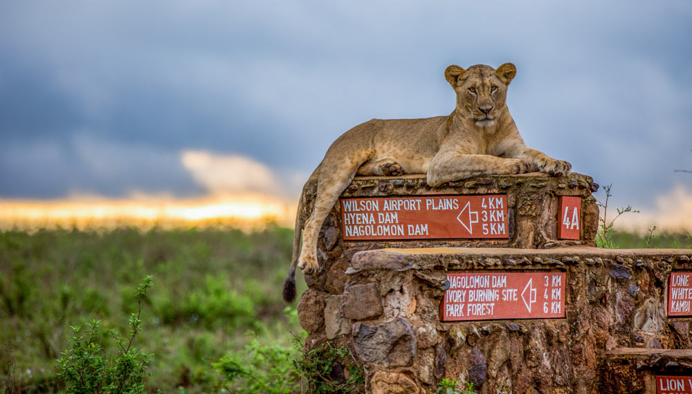 nairobi-6