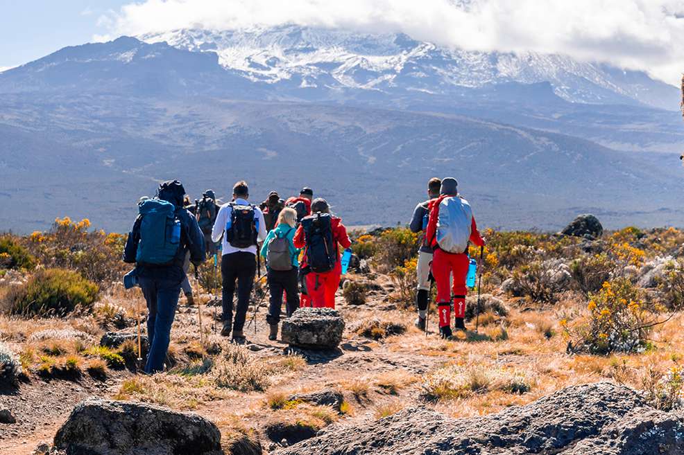 7-Day Rongai Route Summit Trek & Wilderness Experience