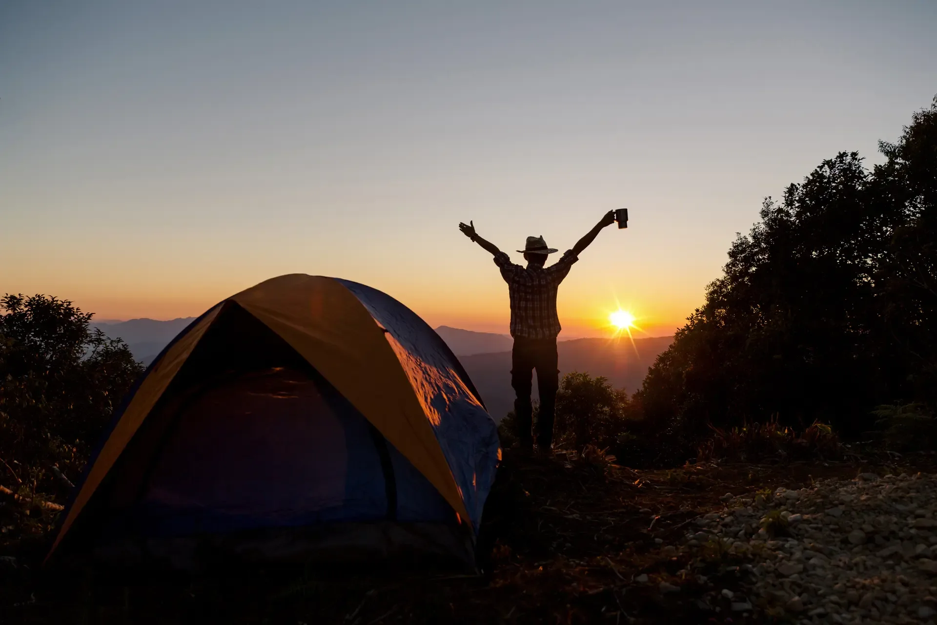 7-Day Rongai Route Summit Trek & Wilderness Experience safari photo