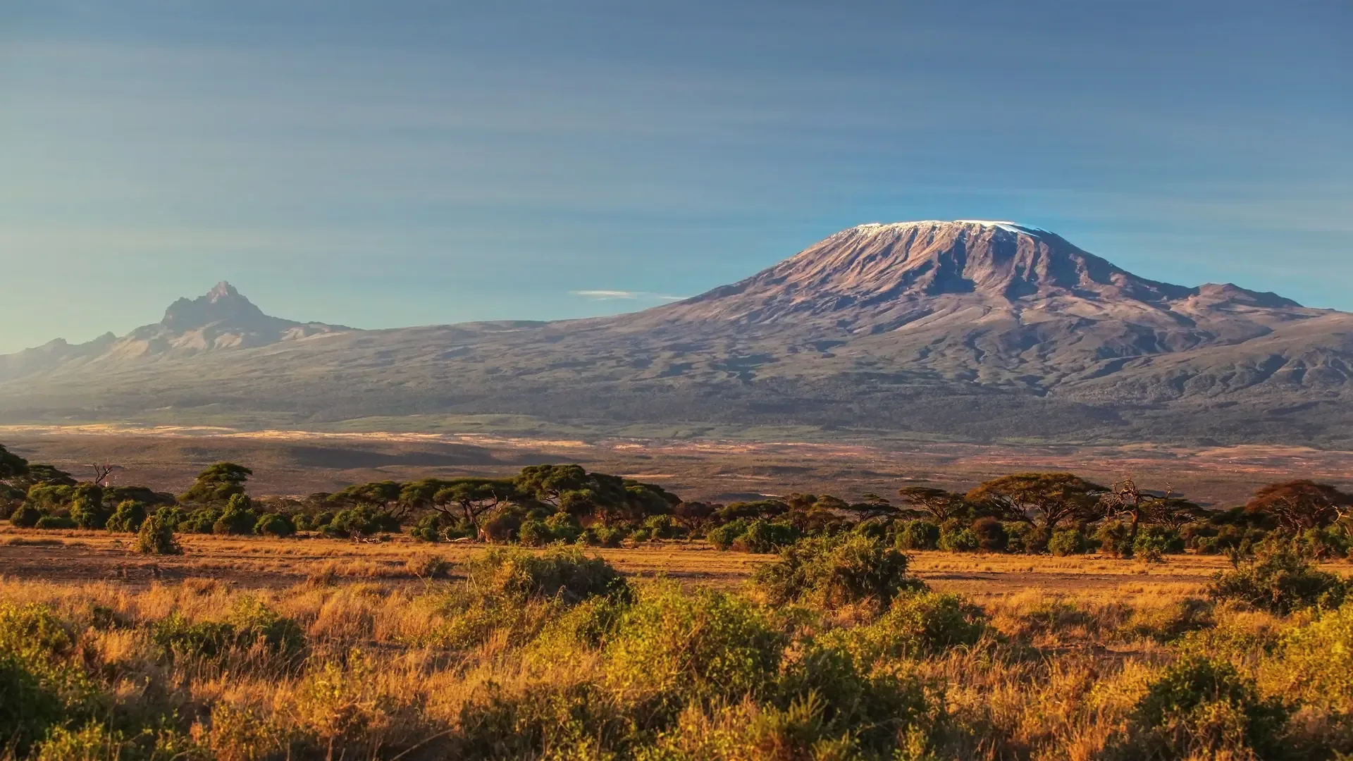 7-Day Rongai Route Summit Trek & Wilderness Experience safari photo