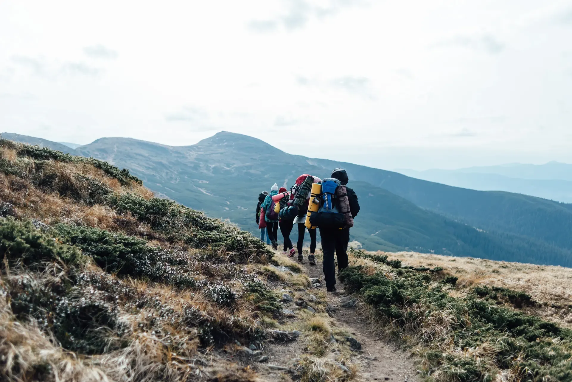 7-Day Rongai Route Summit Trek & Wilderness Experience safari photo