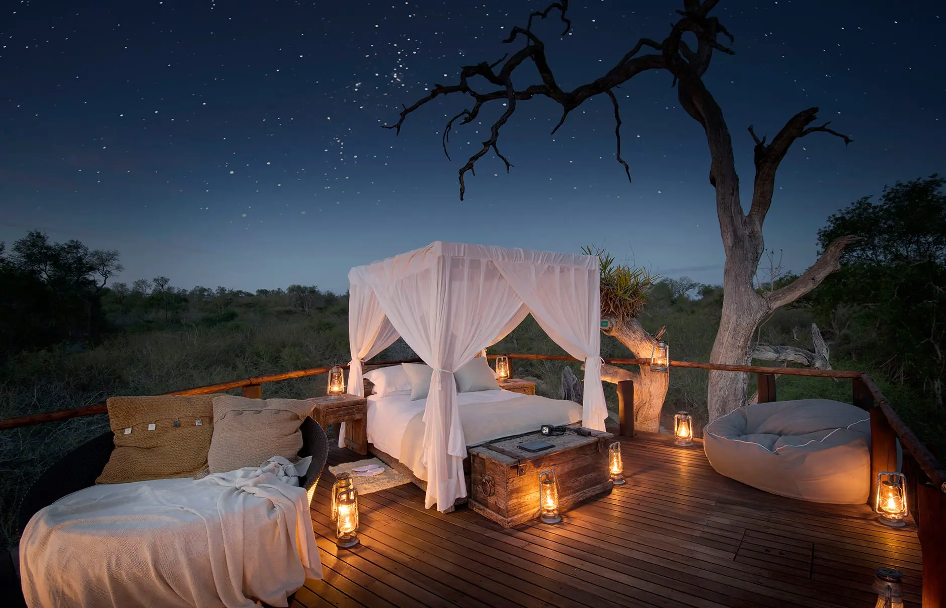 6 Days Kenya Romantic Bush to Beach Safari safari photo