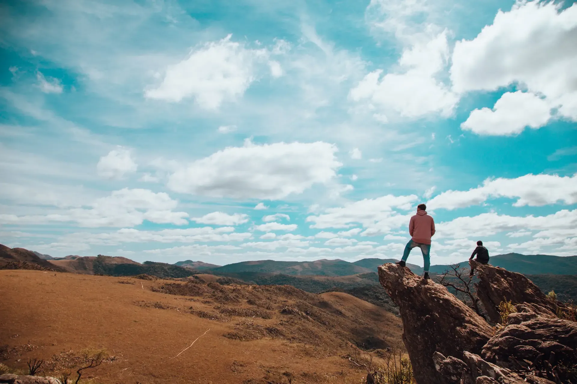 7-Day Rongai Route Summit Trek & Wilderness Experience safari photo