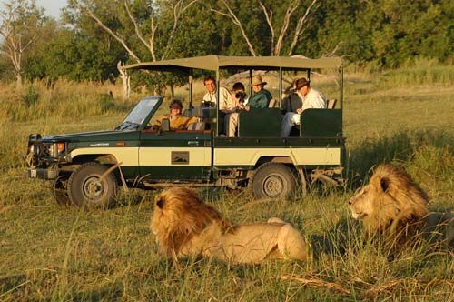 3-Day Masai Mara National Reserve Safari safari photo