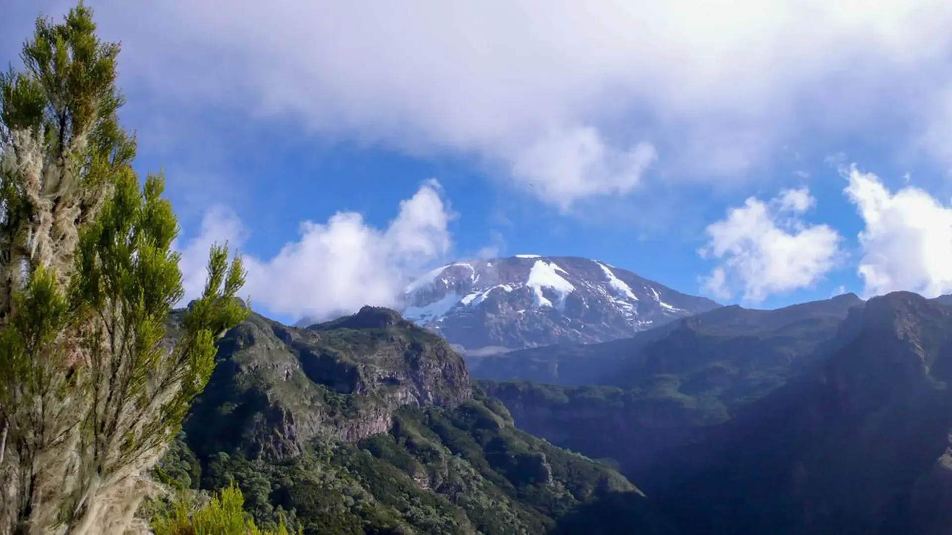 7-Day Rongai Route Summit Trek & Wilderness Experience safari photo